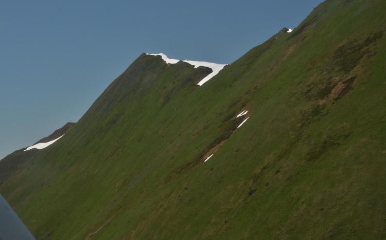grassy mountain